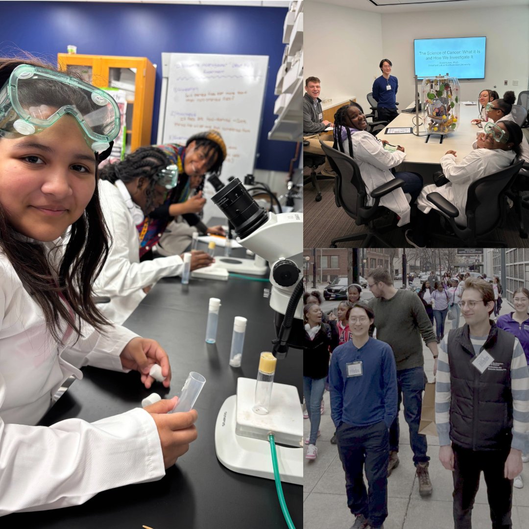 Shilatifard Lab tweet media