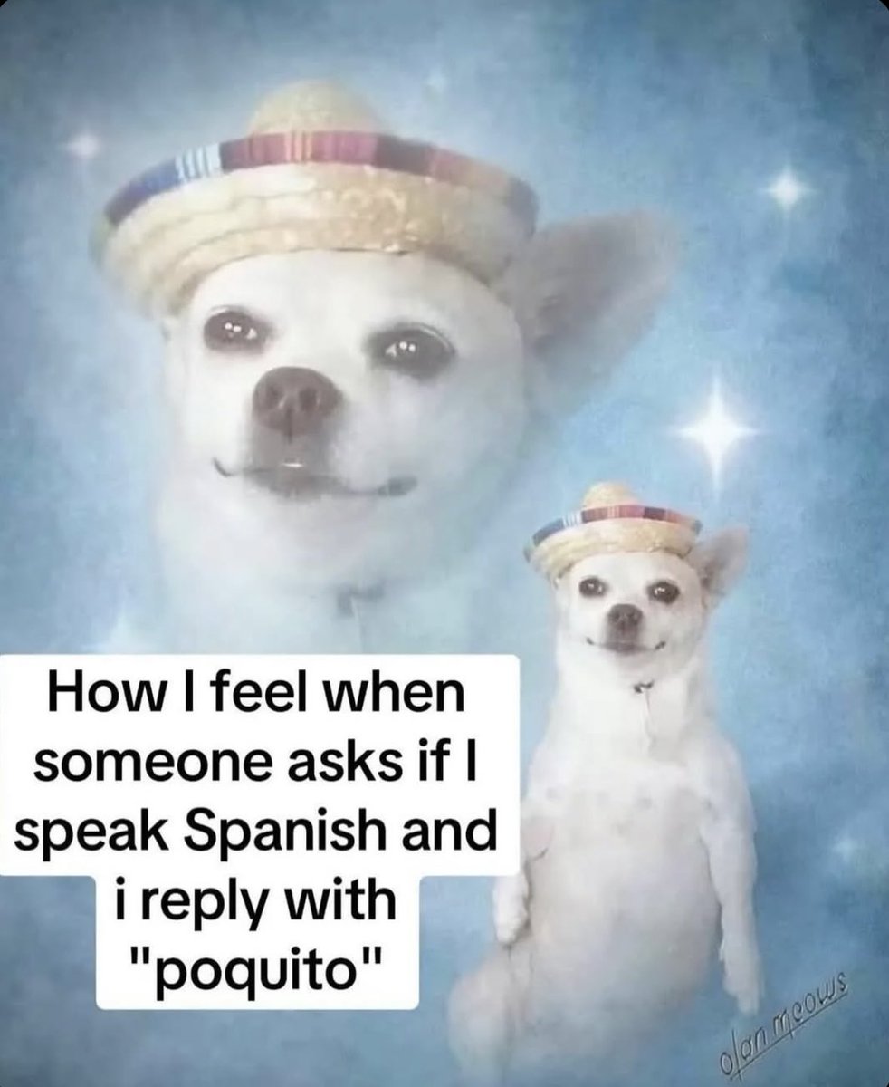 🇲🇽POVMEXICO tweet media