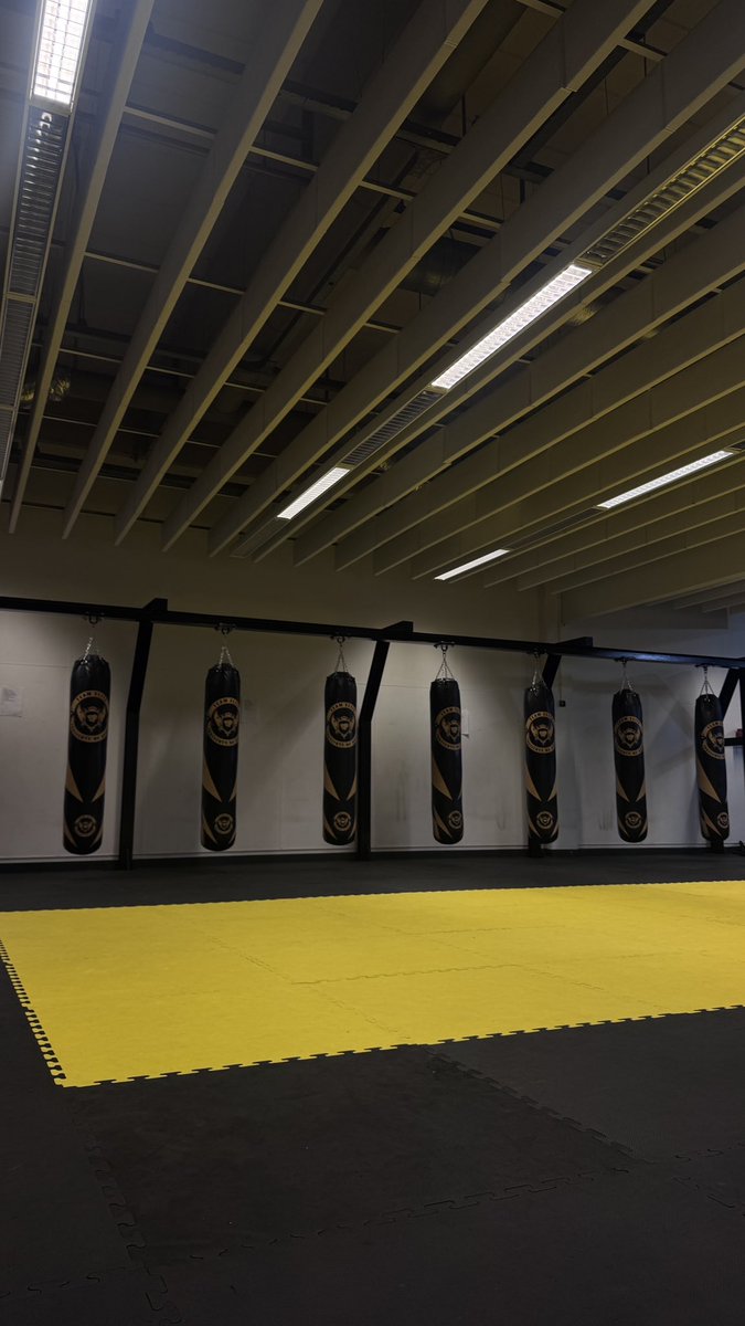 icardisu tweet media