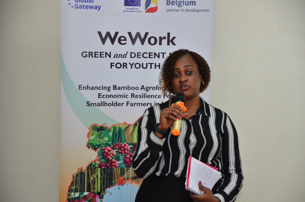 IITA_CGIAR's tweet image. 🚀 #HappeningNow in Mukono, Uganda! 🚀

We're launching the Bamboo-based Agroforestry Project! 🌳 Implemented by @IITA_Uganda, in partnership with EKiBBO Farming Services, @narouganda @EnabelinUganda @EUinUG @BelgiumInUganda @Educ_SportsUg, and Mukono and Wakiso district