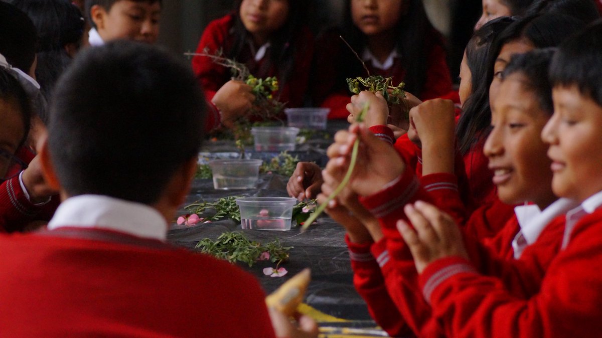 Museo Alberto Mena Caamaño tweet media