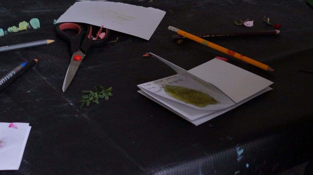 Museo Alberto Mena Caamaño tweet media