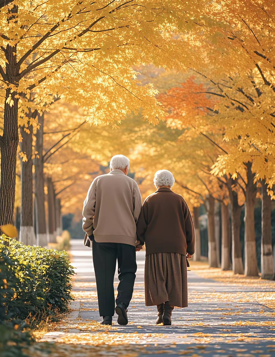 mohmd nour tweet media