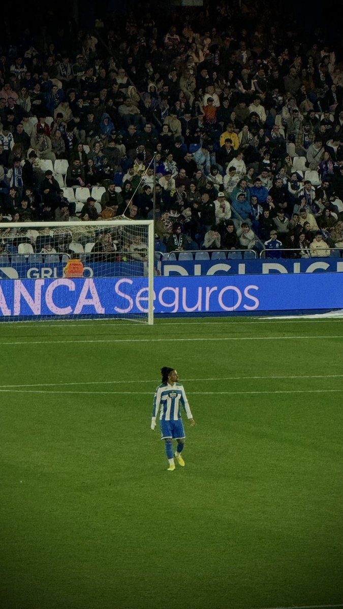 Noubismo 🪄 tweet media