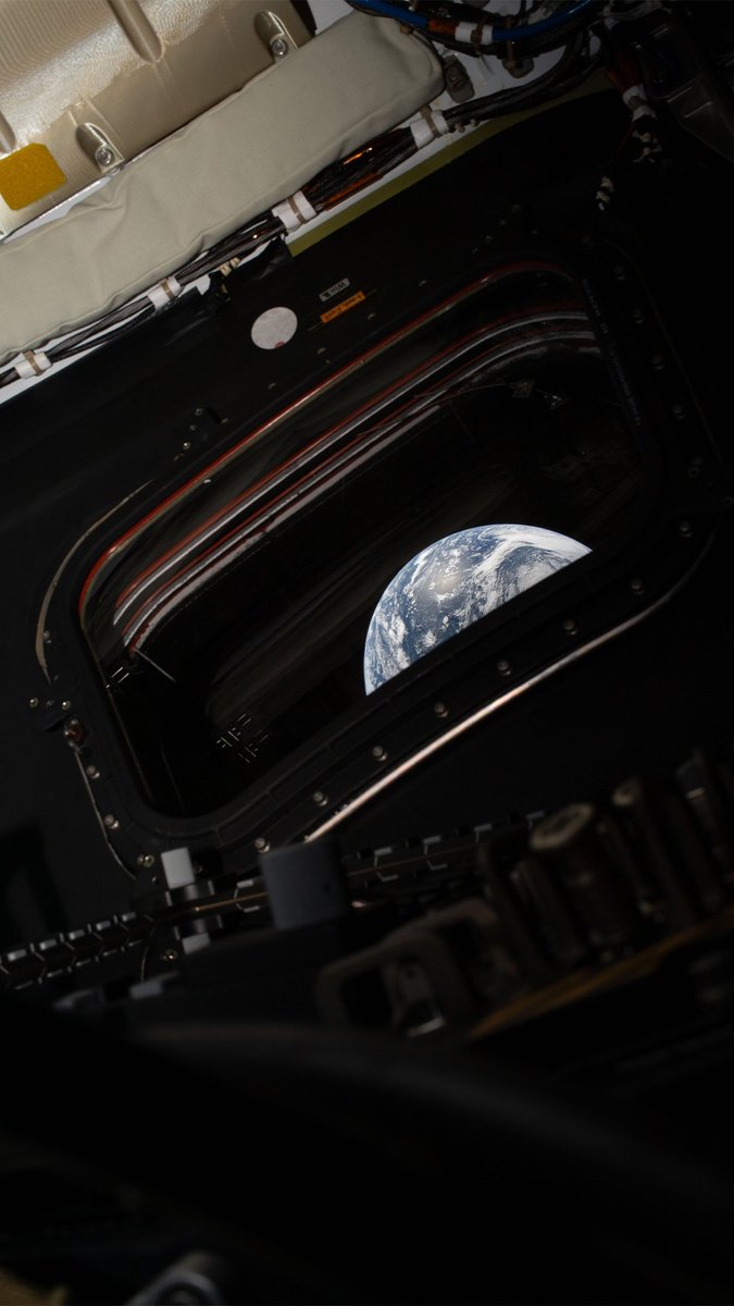 Depressed Minnesota Fan tweet media