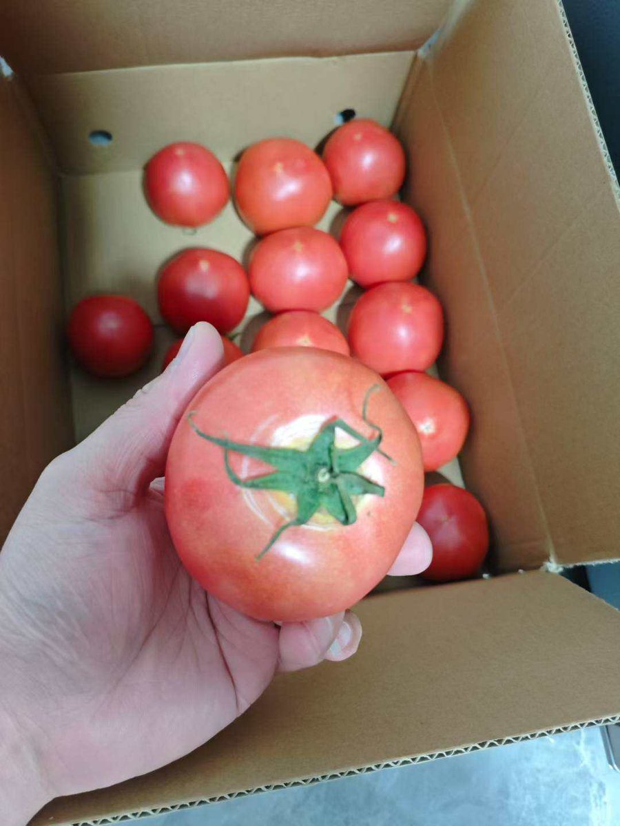 The Irvine Team tweet media