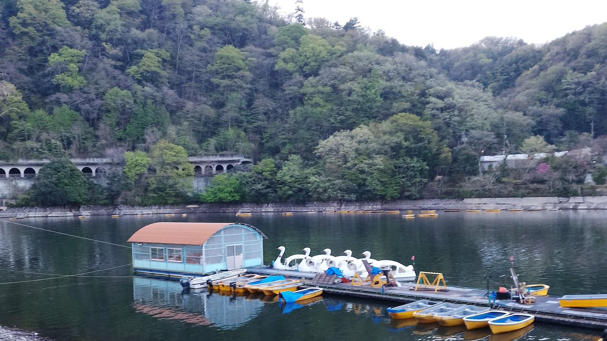 釣船小川亭@相模湖 tweet media