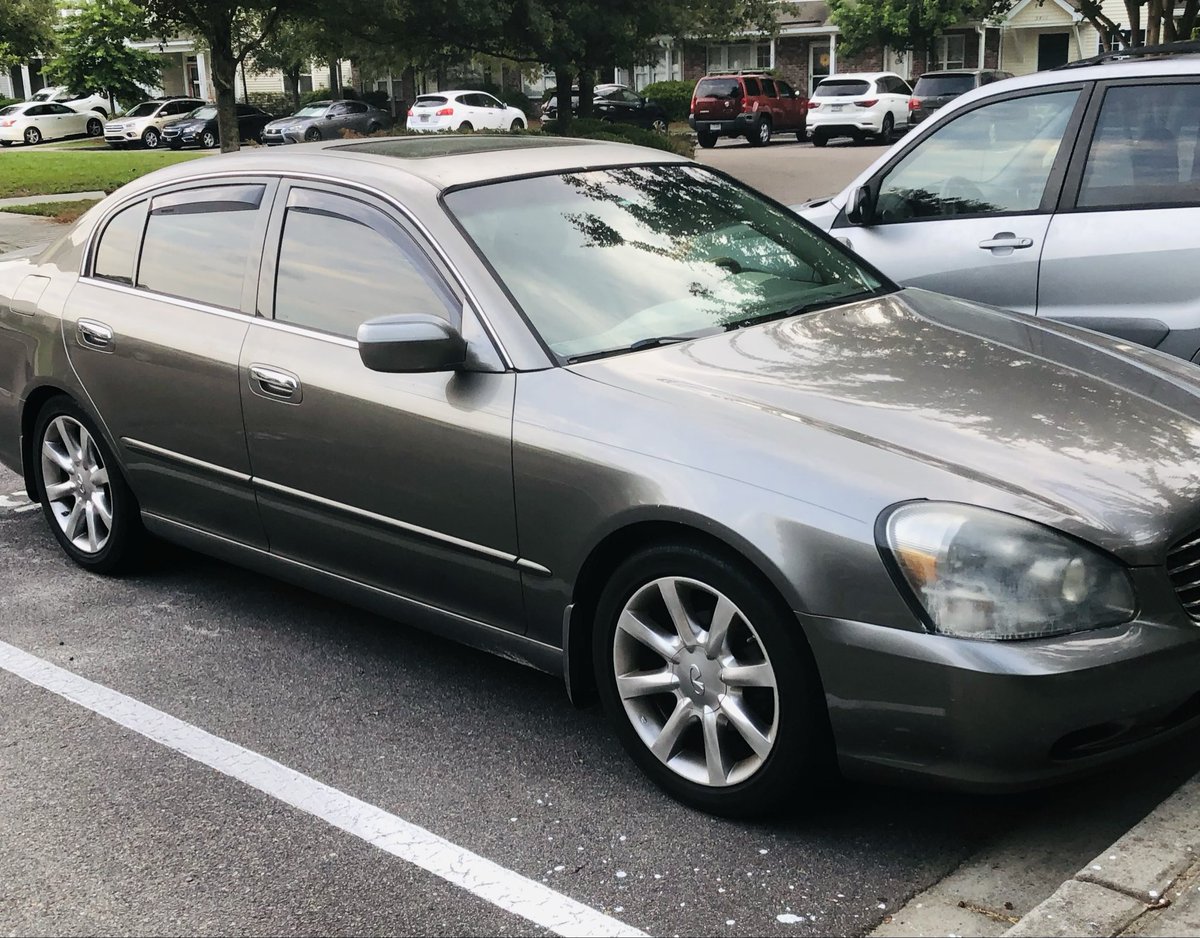 Dinosandiego tweet media