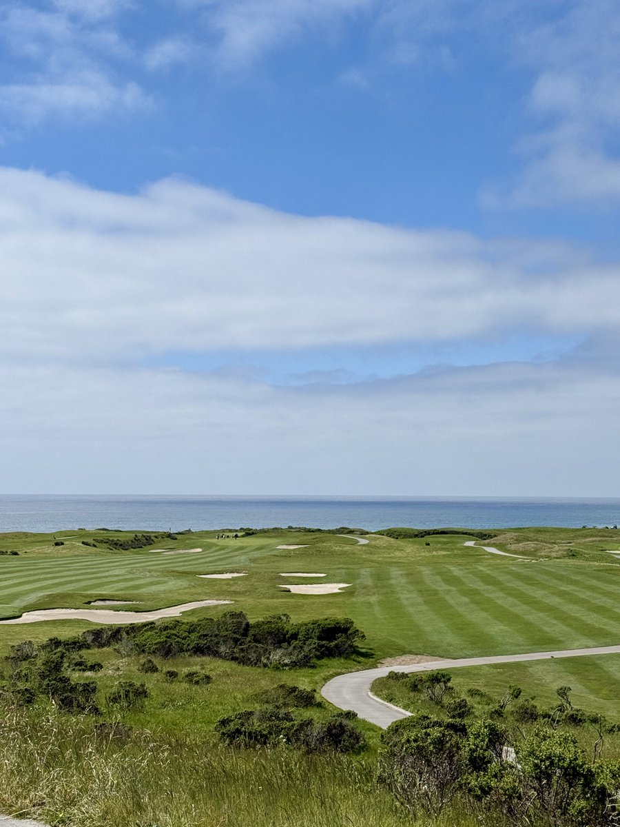 Natalie Byrne tweet media