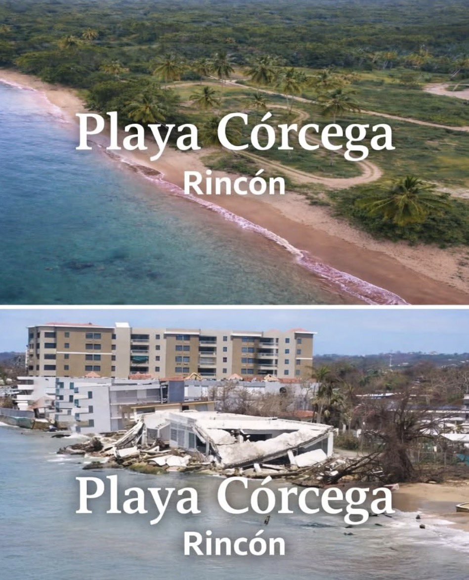 NoelSegovia tweet media