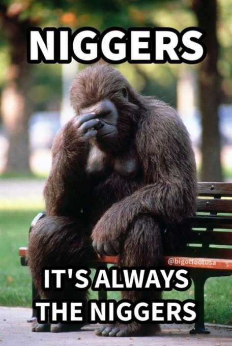 Making libs cry is life lol tweet media