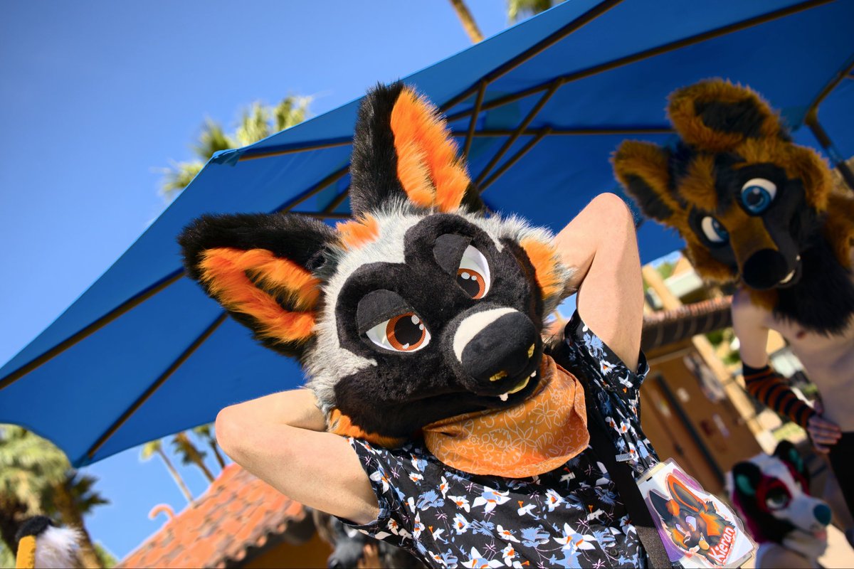 Kieran 🦊 @Home🔜MegaPlex tweet media