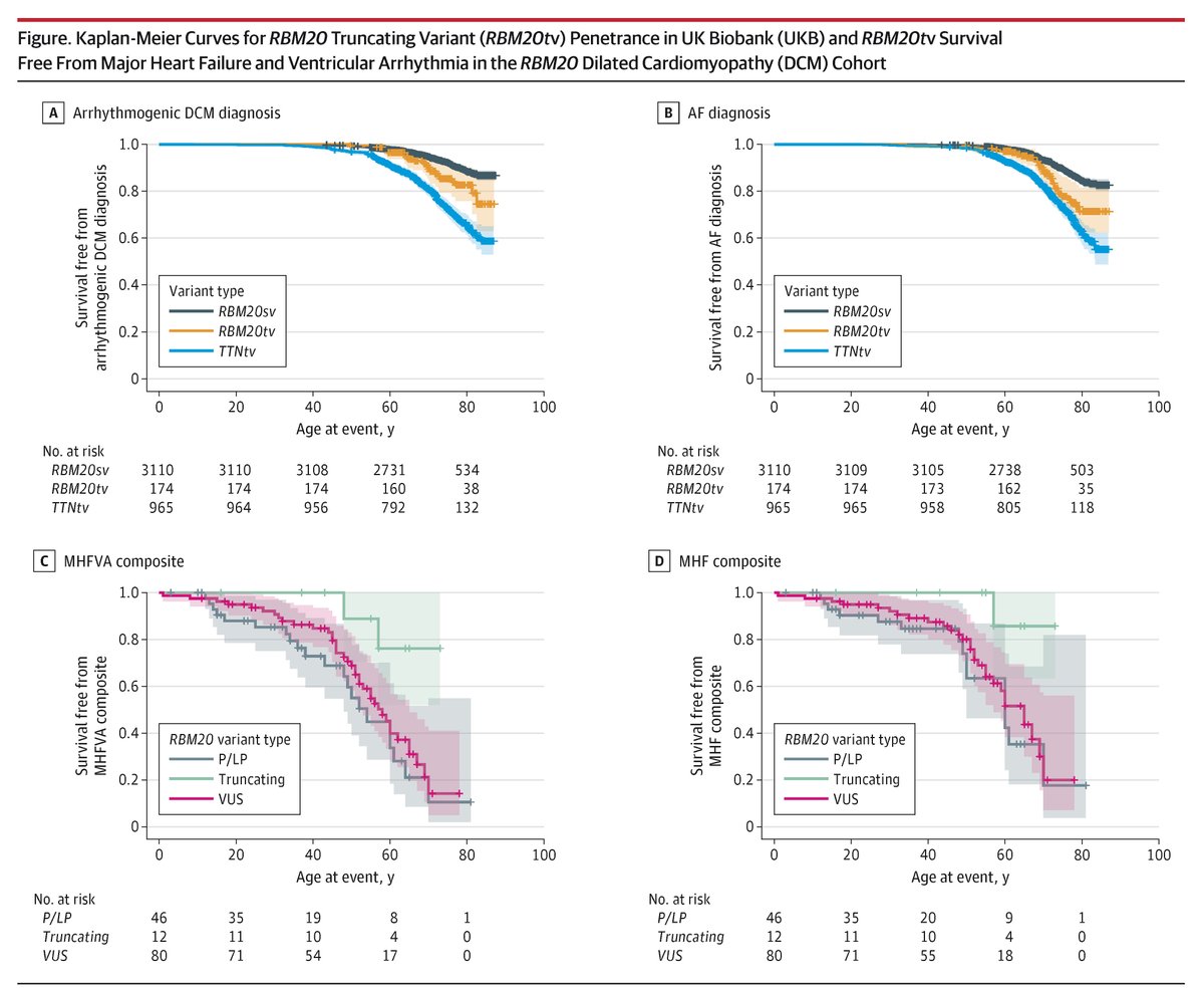 JAMA Cardiology tweet media