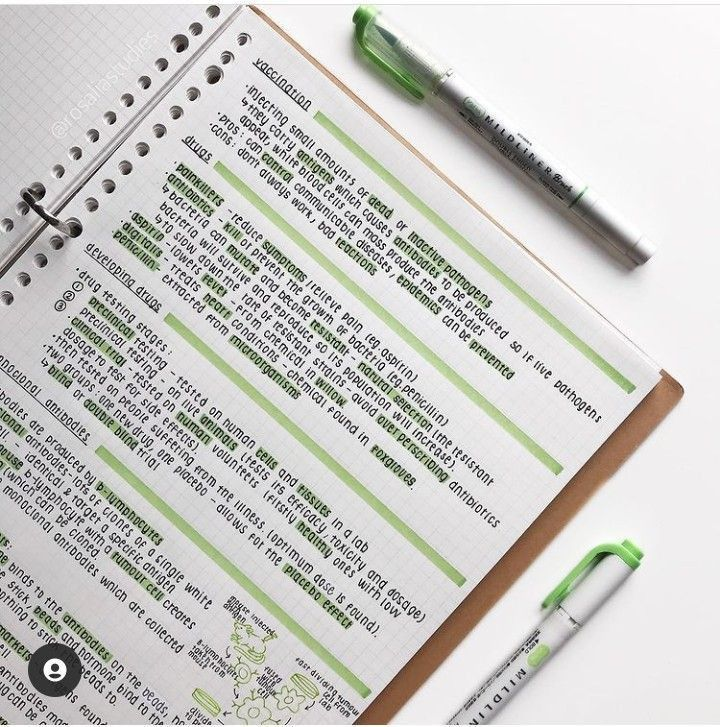 solea ₊⊹ studytwt tweet media