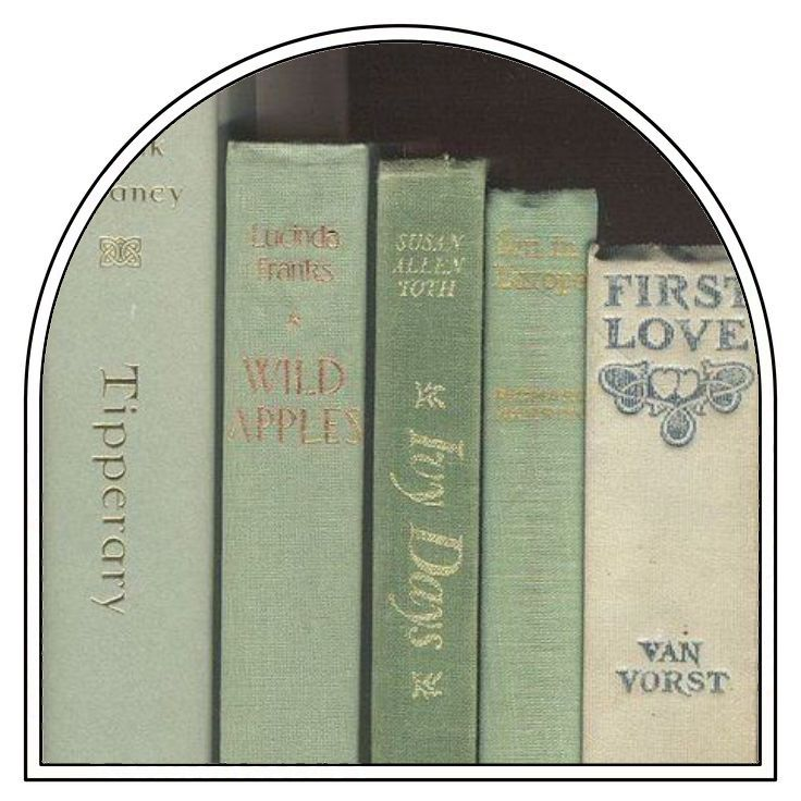 solea ₊⊹ studytwt tweet media