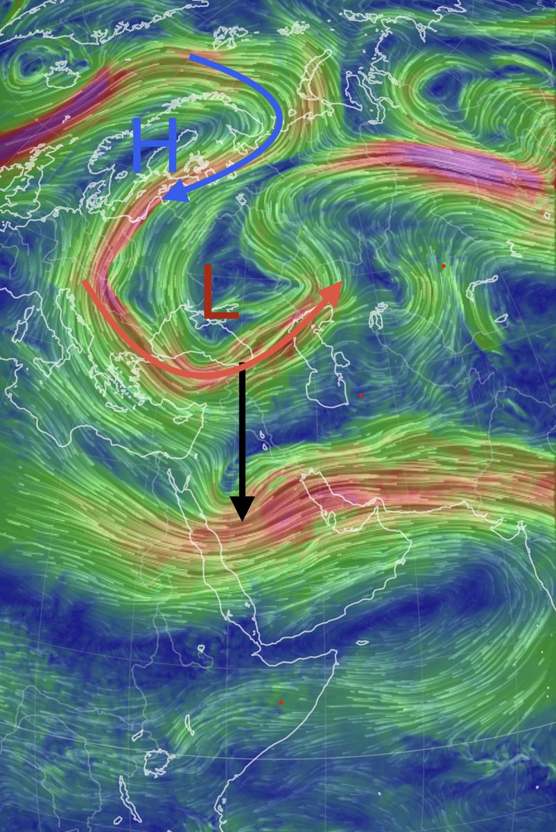 بوغيث tweet media
