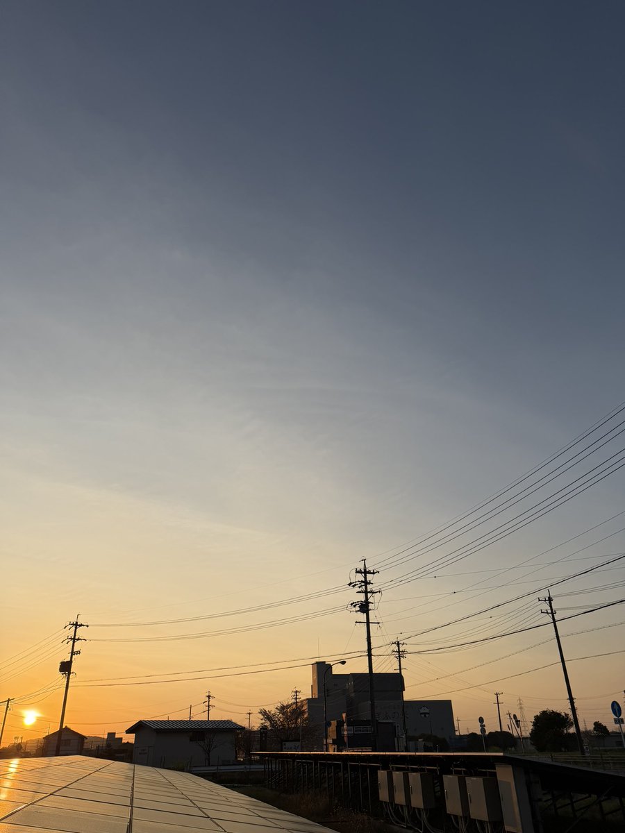 ぴでごん tweet media