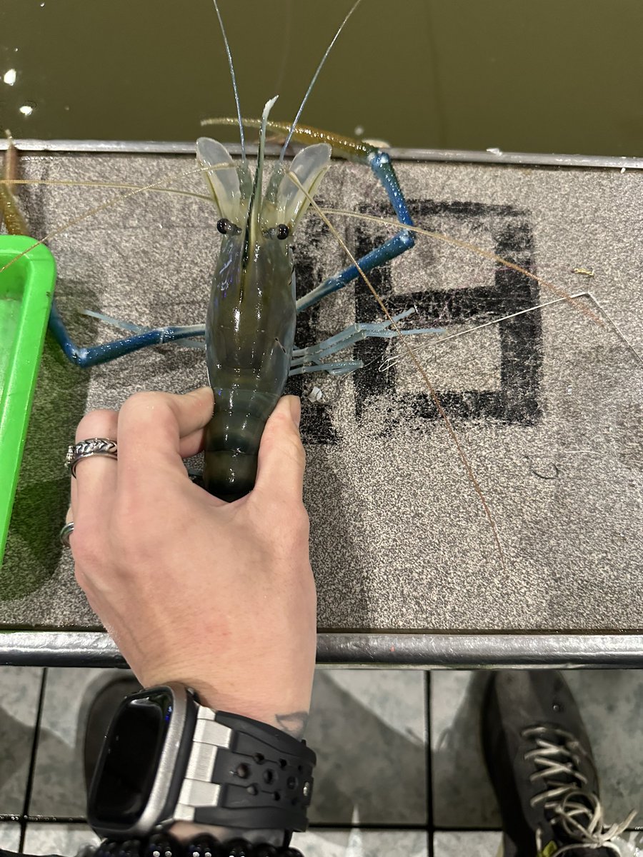 肆號☠️🫧 tweet media