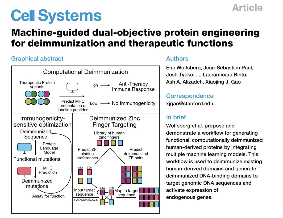 NornGroup's tweet photo. We audit the longevity field to map the bottlenecks on the road to aging therapies, and one of the biggest is that most targets still aren’t druggable.

More than two thirds of targets are out of reach for conventional medicines, and gene therapies often trigger an immune response. This is called immunogenicity.

Removing immunogenic sequences from a therapeutic protein tends to break its function, and the variant space is too large to screen experimentally. A lab we funded via @impetusgrants published an ingenious way around these, using AI.

To engineer therapeutic proteins that are both functional and non-immunogenic, the Xiaojing Gao lab at Stanford (@SynBioGaoLab) built a modular workflow using ML models to optimize for protein function and low immunogenicity simultaneously.

They demonstrated it by generating deimmunized zinc-finger proteins that upregulate two therapeutically relevant genes, utrophin (UTRN) and SCN1A, passing both the function and immunogenicity filters.

The workflow is modular. As better models emerge, they can be switched in, making the pipeline more powerful without rebuilding it. That turns deimmunization from a bespoke problem into a repeatable process any lab can use.

On our map this sits at Viability, Development Stage. The question it addresses is what fraction of aging targets can be turned into drugs. Work like this makes that fraction larger.

The work was published in Cell Systems. Link below.