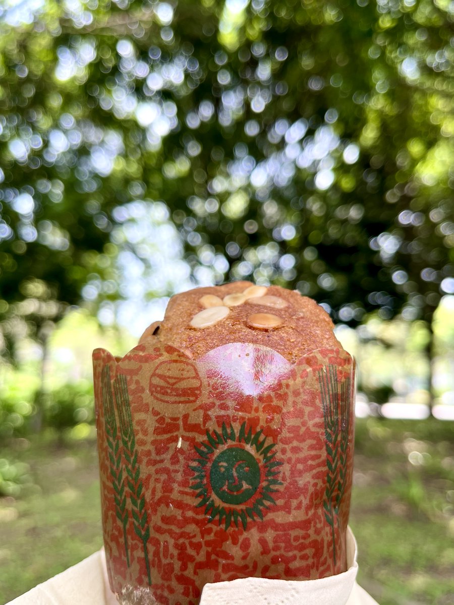 David Elliott tweet media