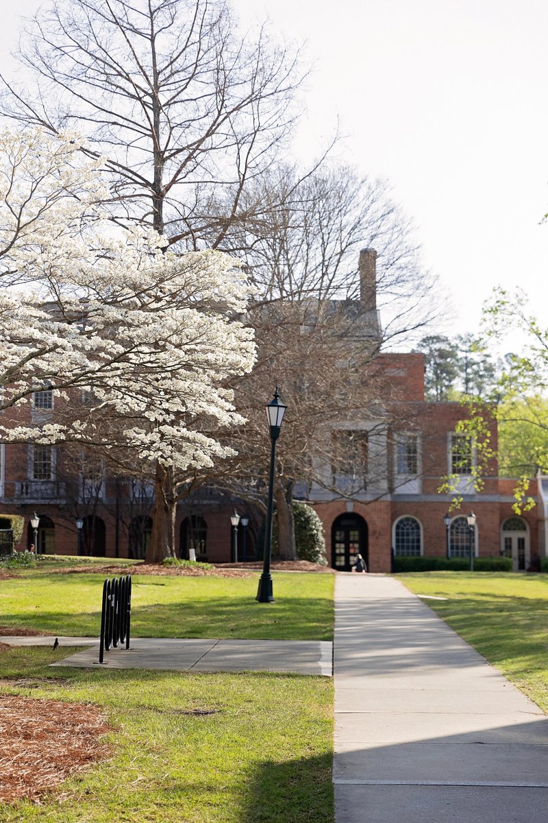 SamfordAlumni's tweet photo. Just in case you've been missing campus—here it is, showing off in its spring glory. 😍 https://t.co/S3tKD6HeyQ