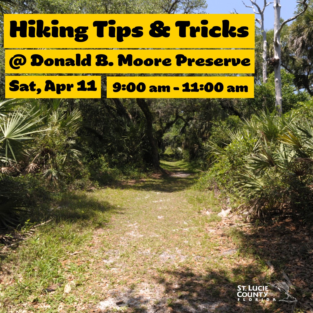 StLucieGOV's tweet photo. Celebrate Earth Day all April with St. Lucie County’s Guided Nature Program! Join a guide to learn safe hiking tips at Donald B. Moore Preserve, Sat, Apr 11.

Sign up: https://t.co/9Cl9bAbVja

#StLucieCounty #ERD #GuidedNatureProgram #Hikes https://t.co/bJMn2Y80Of