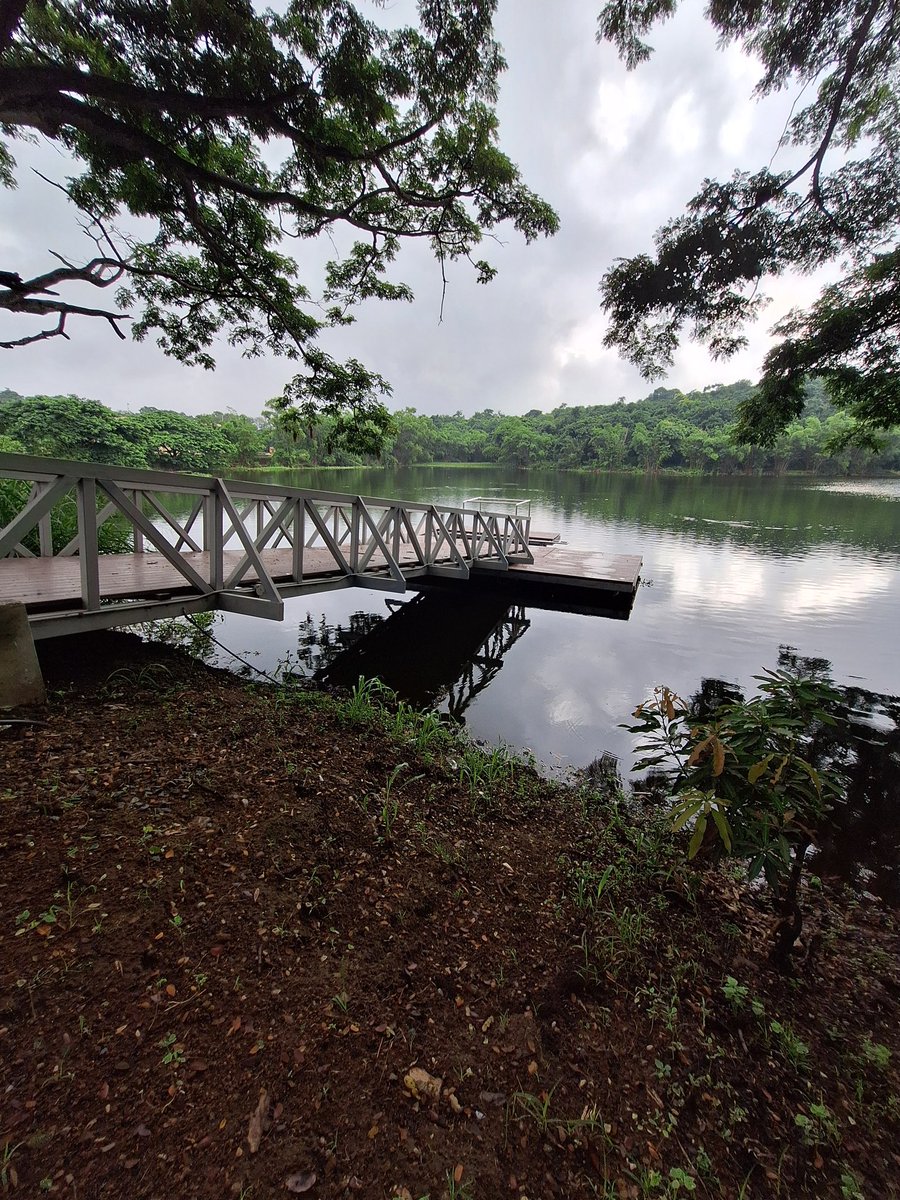 FictESPOL's tweet photo. 🌿 La FICT impulsa una nueva forma de vivir el campus.

Se aprobó el proyecto de investigación Pedestrian WAY, una iniciativa que fortalecerá la movilidad peatonal en ESPOL a través de infraestructura verde, conectividad sostenible y soluciones adaptadas al entorno.

#FICT https://t.co/aoNwL9Oljf