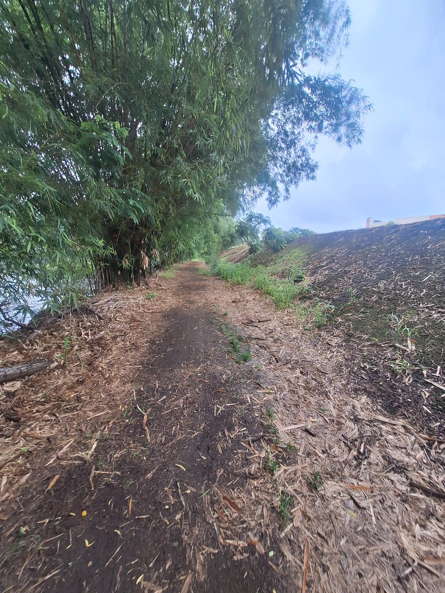FictESPOL's tweet photo. 🌿 La FICT impulsa una nueva forma de vivir el campus.

Se aprobó el proyecto de investigación Pedestrian WAY, una iniciativa que fortalecerá la movilidad peatonal en ESPOL a través de infraestructura verde, conectividad sostenible y soluciones adaptadas al entorno.

#FICT https://t.co/aoNwL9Oljf
