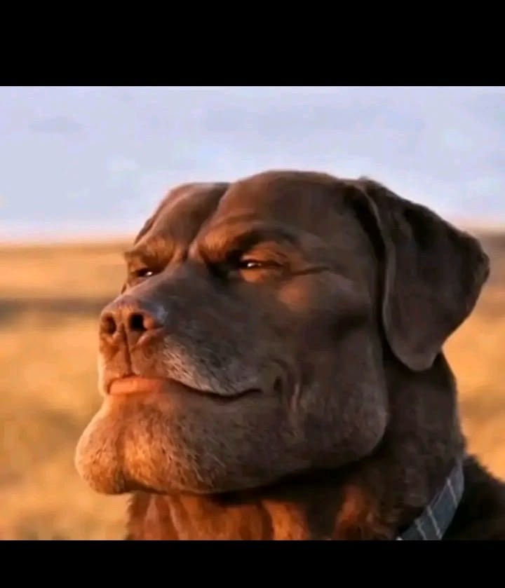 EST Quetzal tweet media