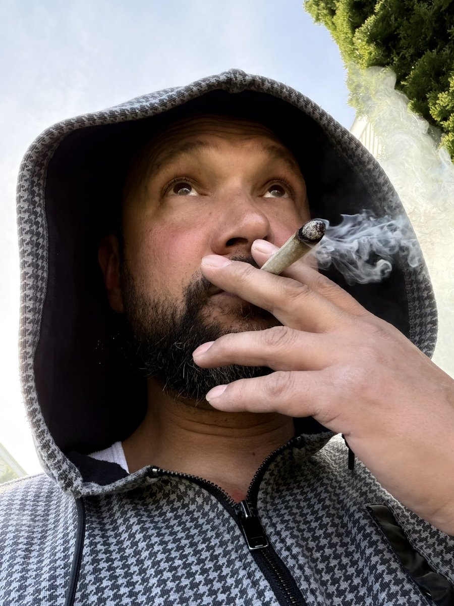 2️⃣RICH tweet media