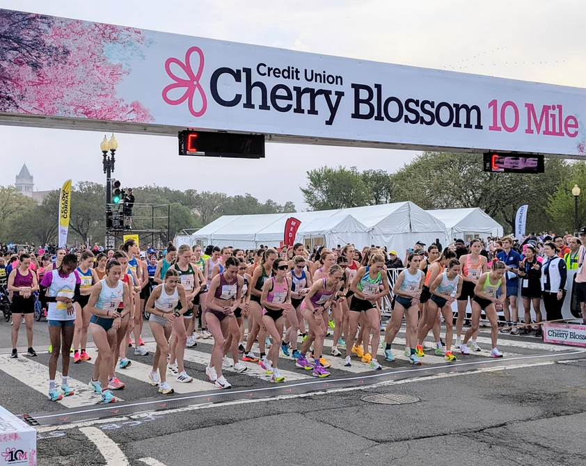 PRRO Circuit tweet media