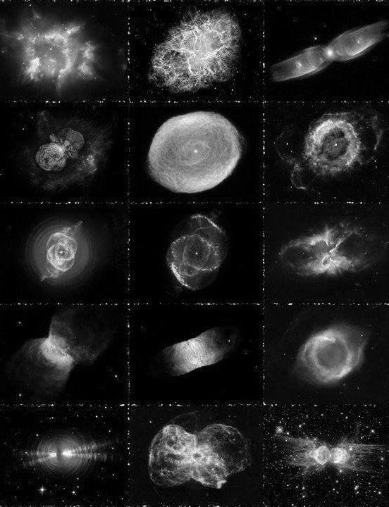 Stargirl tweet media