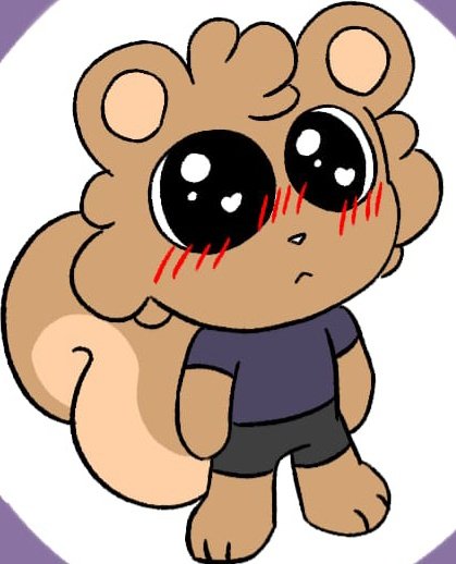 Cookie el ardilla tweet media