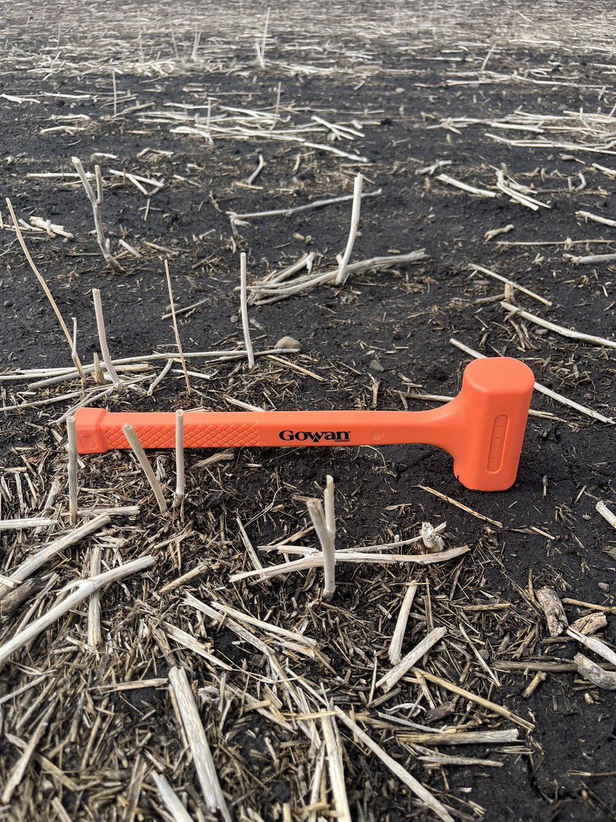 BuckPeters7's tweet photo. Almost time to hammer down some of our new product Garrison or Liquid Avadex for resistant wild oat control in your fields! Check your Poker Chip at your retail to receive your orange hammer! #DontGambleWithWeedControl #CheckYourChip @gowancanada @trevor_martens @jmids81 https://t.co/75YhYpPQRl