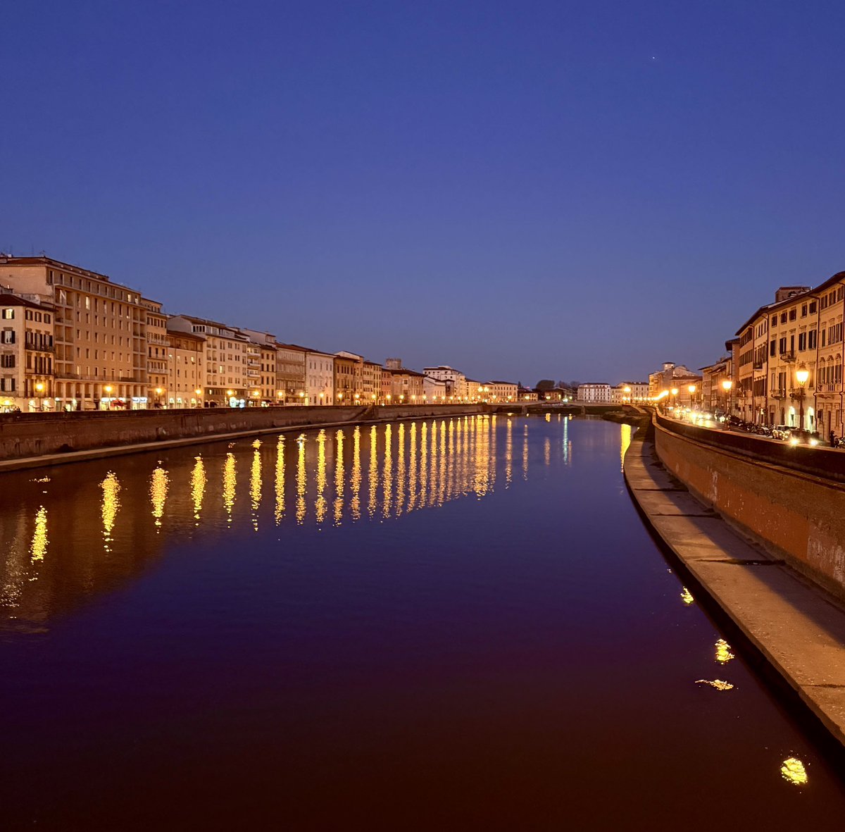 Van Norden tweet media