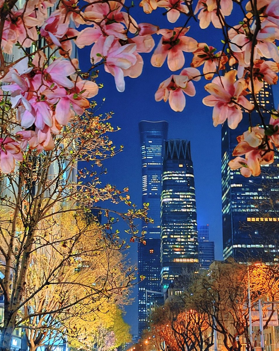 Zhu Jingyang tweet media