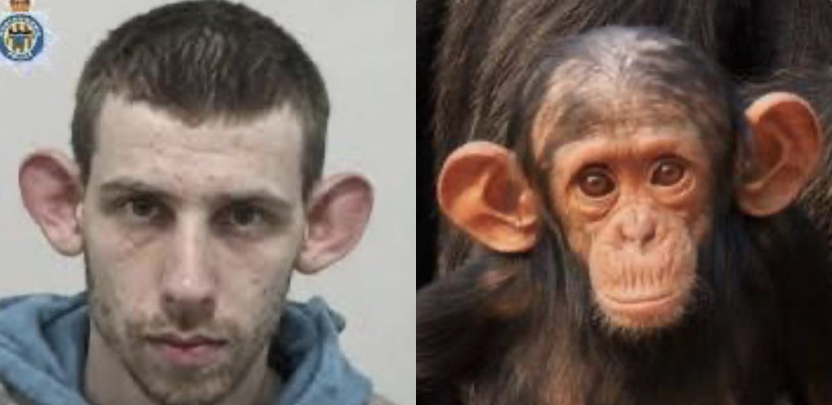 ElraboMasGrandeDelMundo tweet media