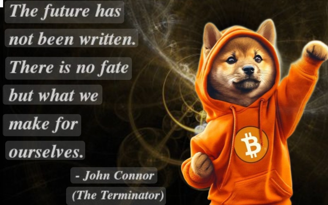 ₿RACKET 🧡 $DOG tweet media