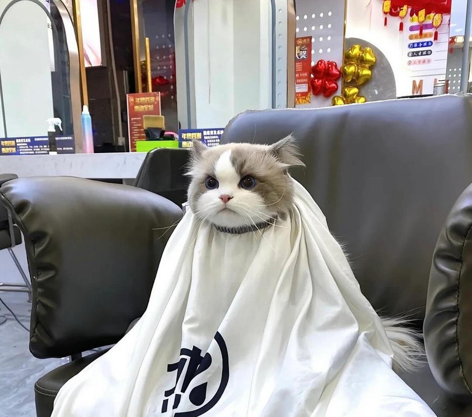 bea.beginning tweet media