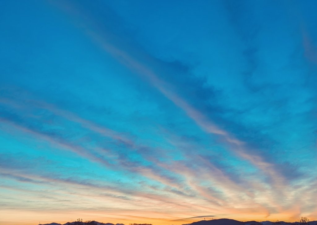 暁 カナ🥷🐕️(Akatuki Kana)Vtuber tweet media