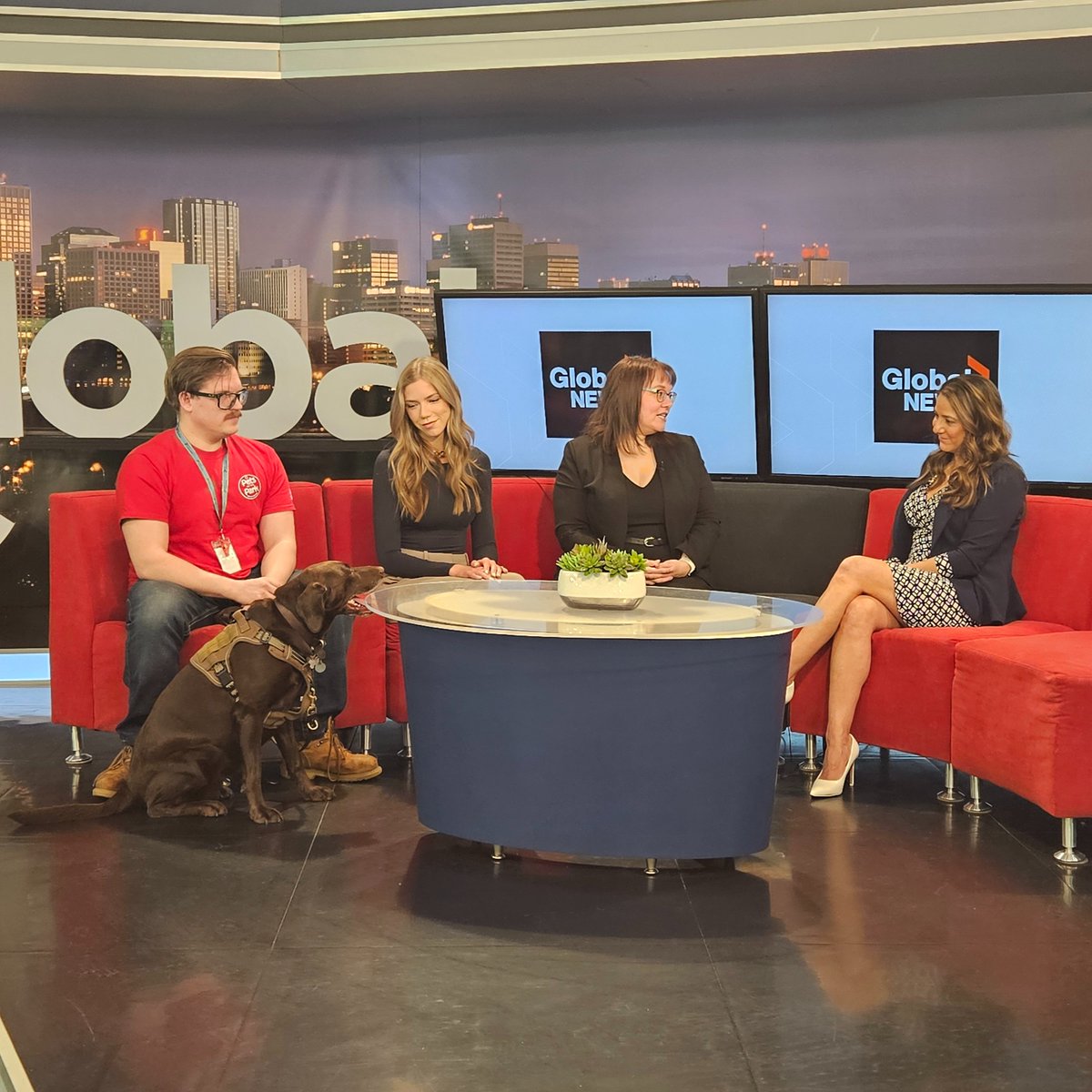 Edmonton Humane Society tweet media