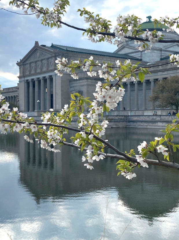 Beal Properties tweet media