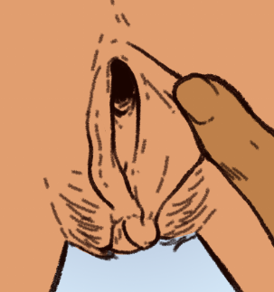 🔞Frite goût bite ☄️GONE TO BSKY tweet media