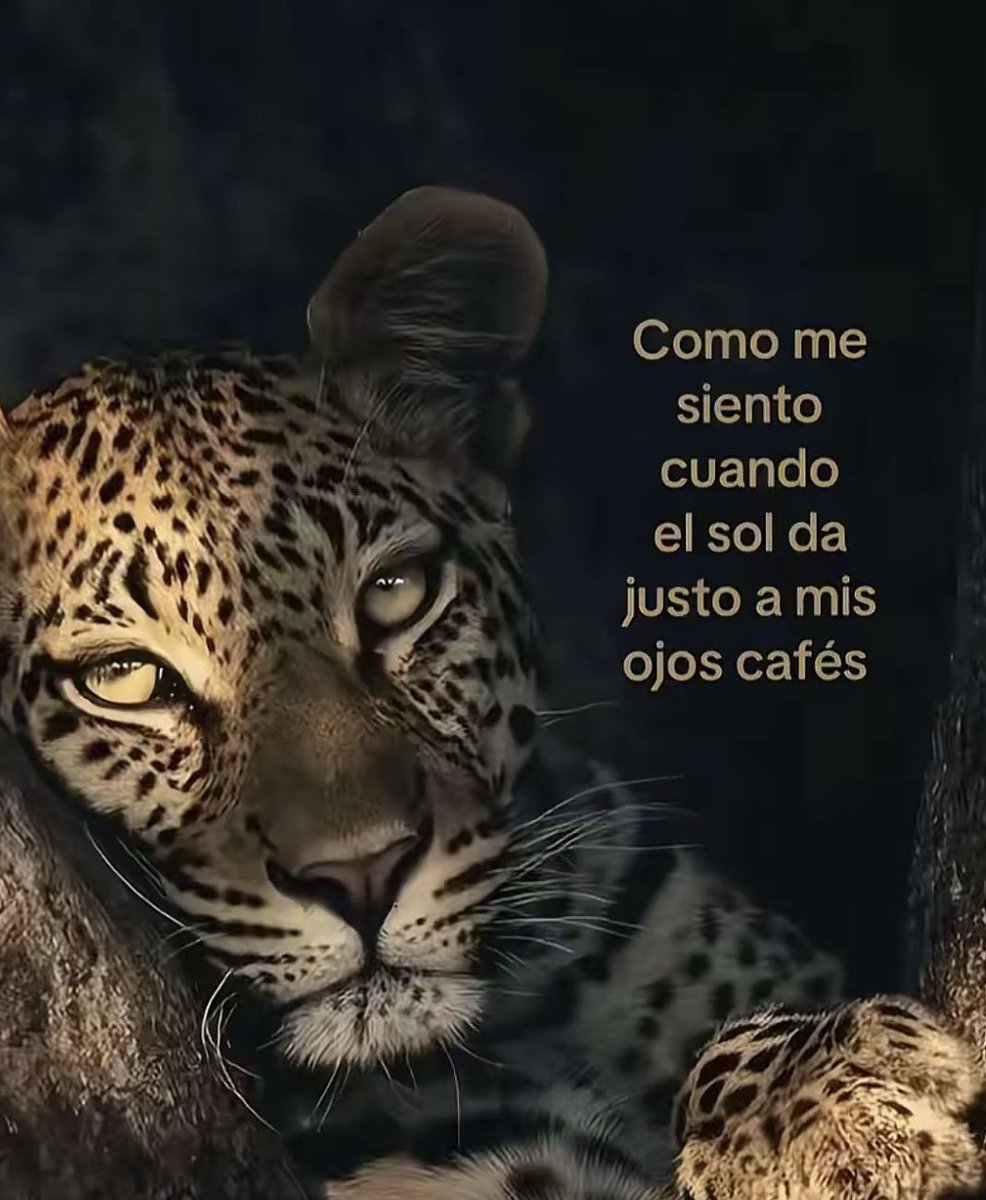 ojos caqui 💩