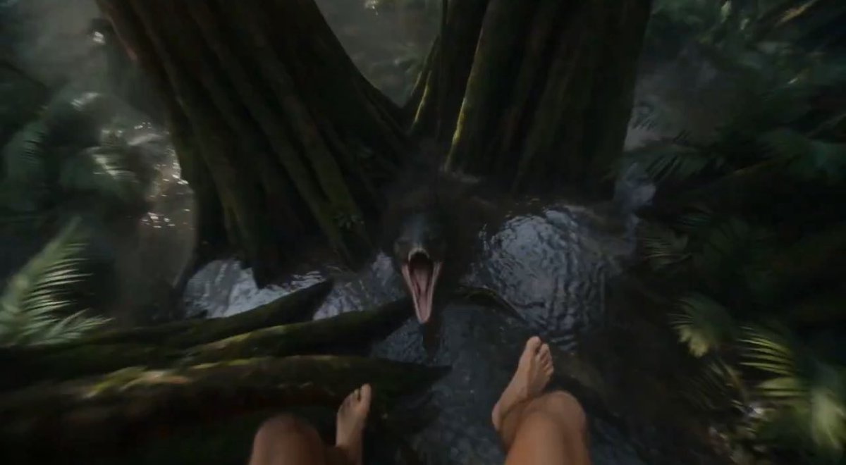 Chrissie tweet media