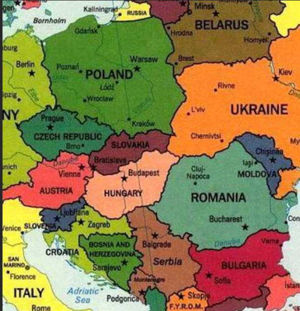 dave lawrence 🐟🐟🐠 tweet media