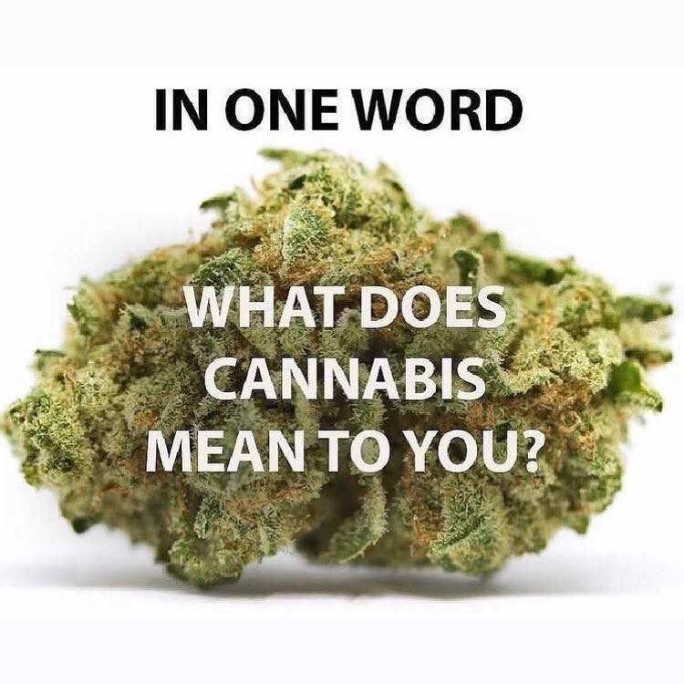 J. Morgan tweet media