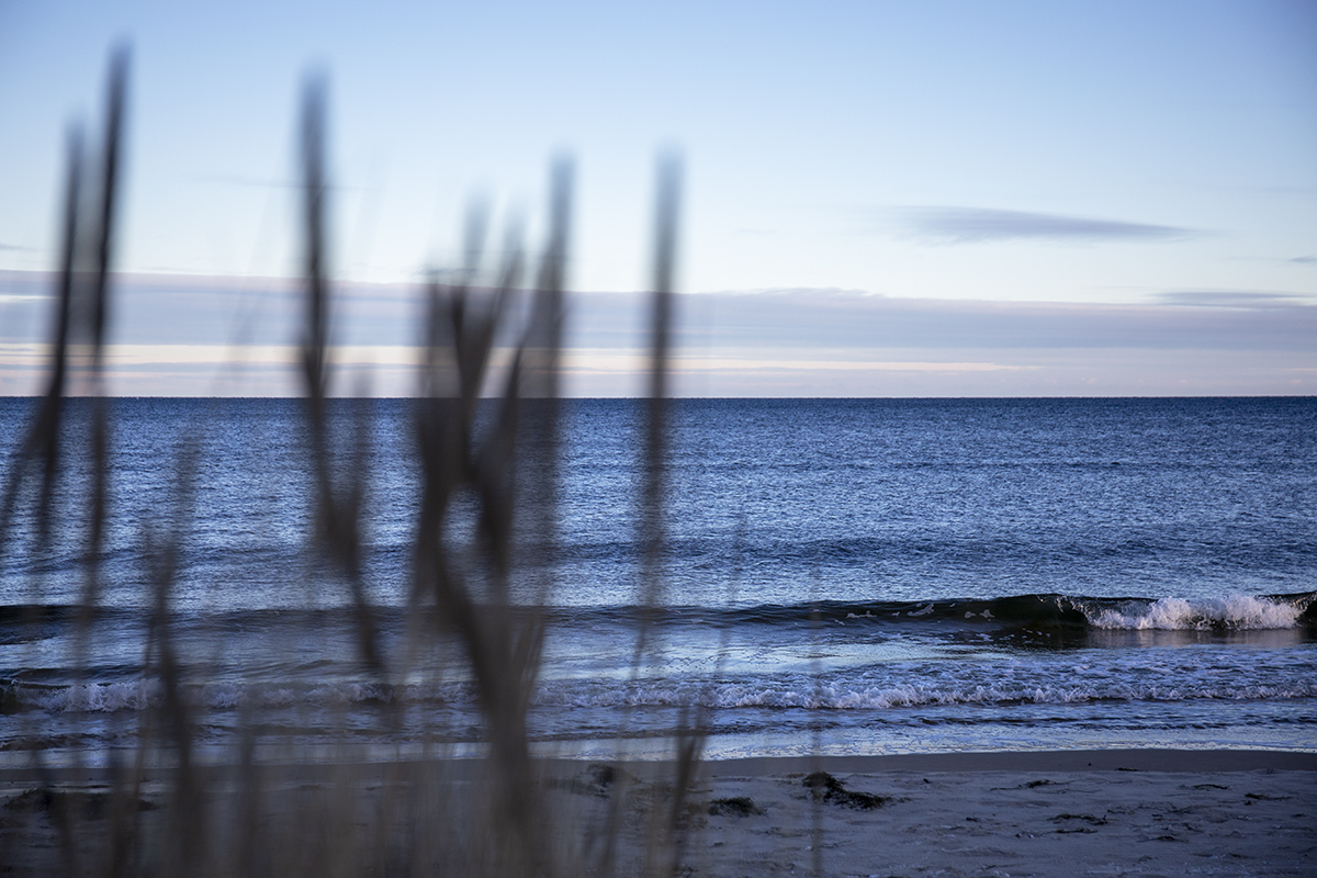 Pelle Nilsson tweet media