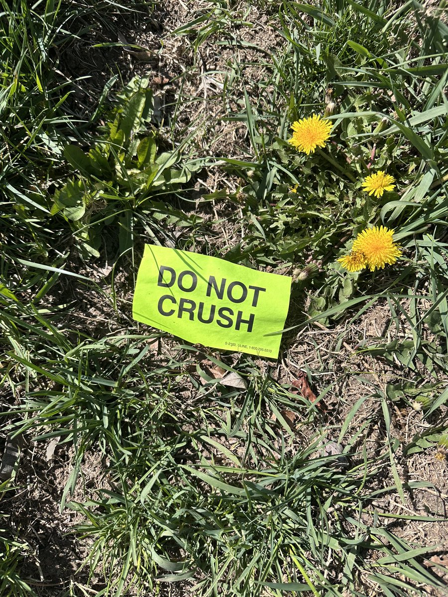 𝐉𝐨𝐡𝐧 𝐎'𝐍𝐞𝐢𝐥 tweet media