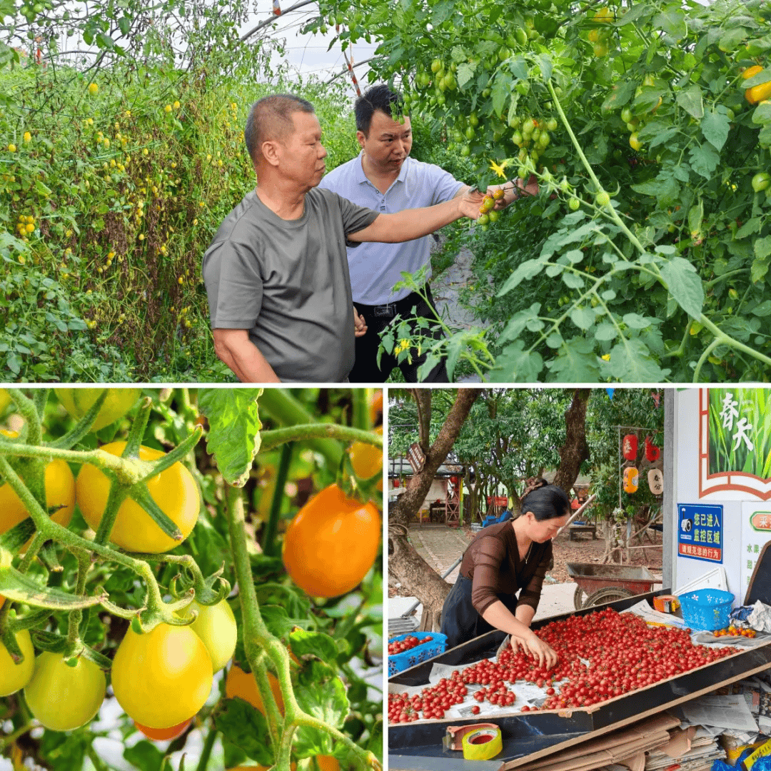 jihyun choi tweet media